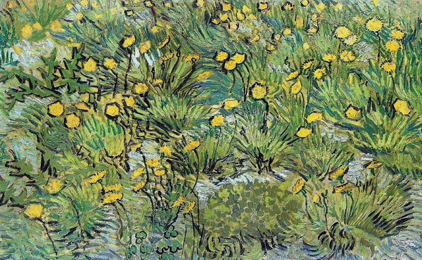 A Field of Yellow Flowers, 1889