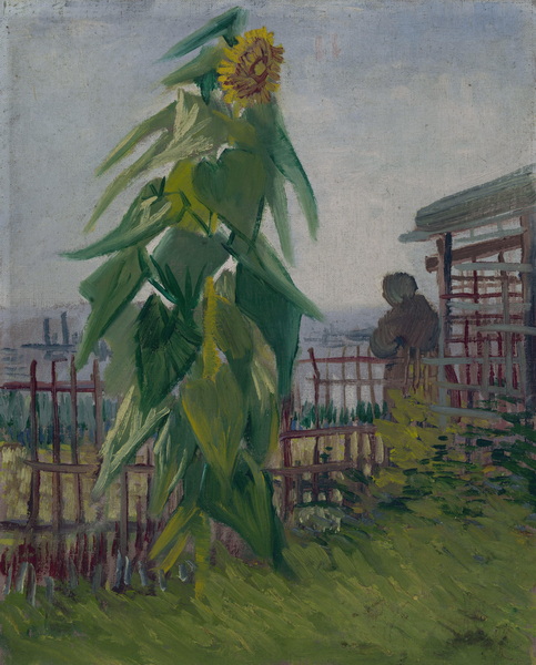 Allotment with Sunflower, 1887