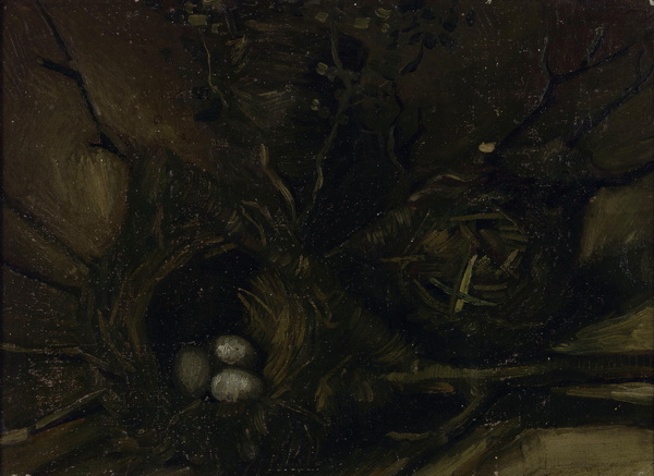 Birds' Nests, 1885 01