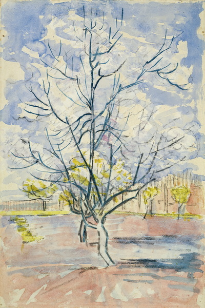 Blossoming Peach Trees, 1888