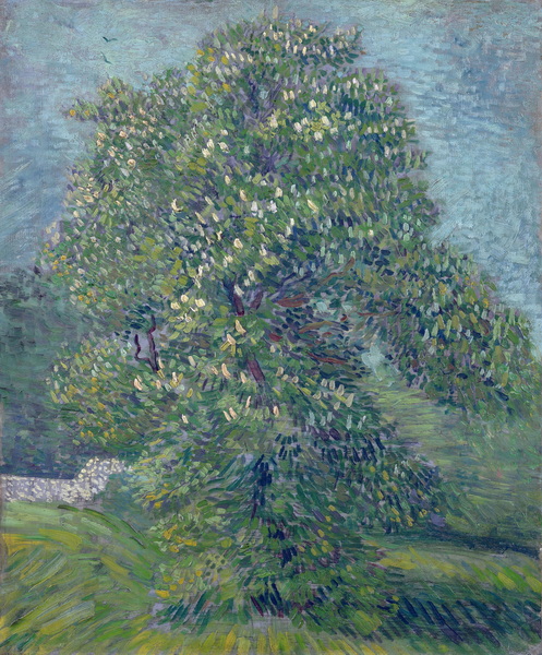 Chestnut Tree in Blossom, 1887