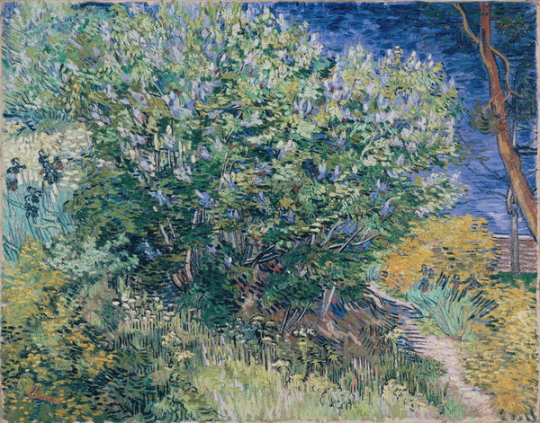 Lilac Bush, 1889