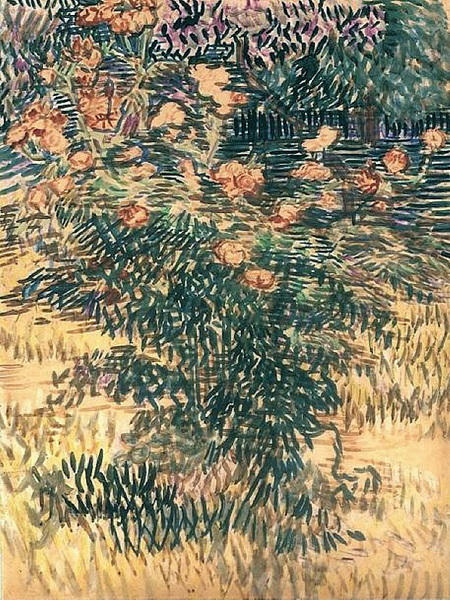 Oleanders, the Hospital Garden at Saint-Remy, 1889