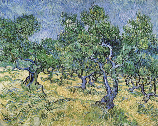 Olive Grove, 1889 01