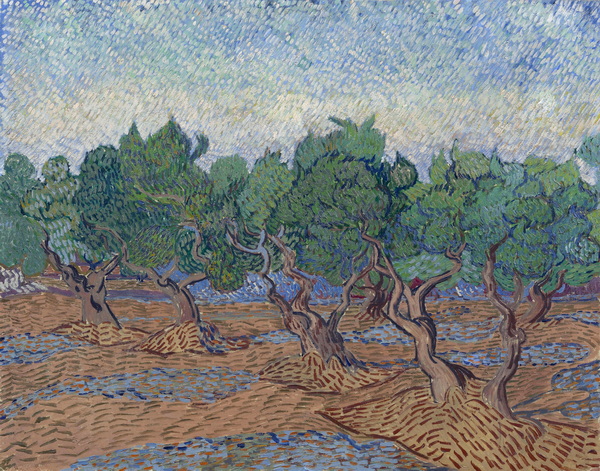 Olive Grove, 1889 03