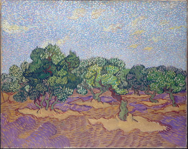 Olive Grove - Pale Blue Sky, 1889