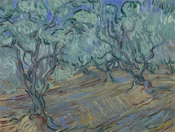 Olive Grove with Blue Sky, 1889