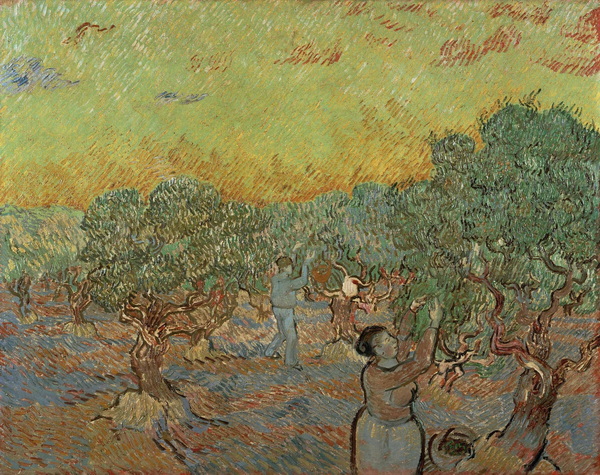 Olive Grove with Picking Figures, 1889