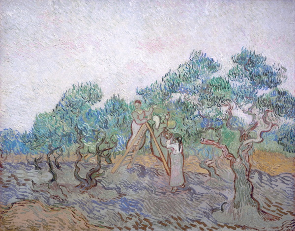 Olive Picking, 1889 02 (larger but cropped version)