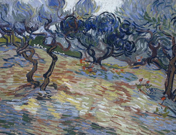 Olive Trees, Bright Blue Sky, 1889