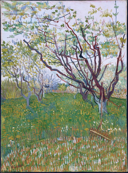 Orchard in Bloom, 1888