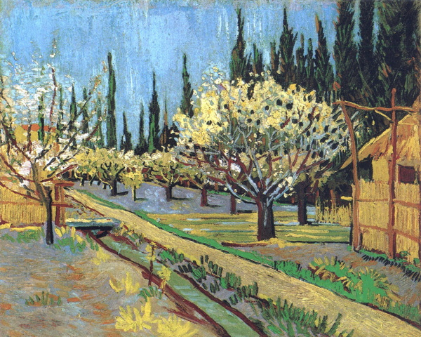 Orchard in Blossom, Bordered by Cypresses, 1888 02