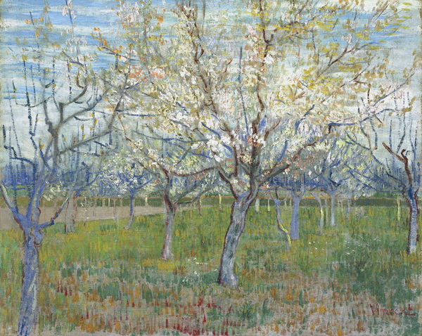 Orchard with Blossoming Apricot Trees, 1888