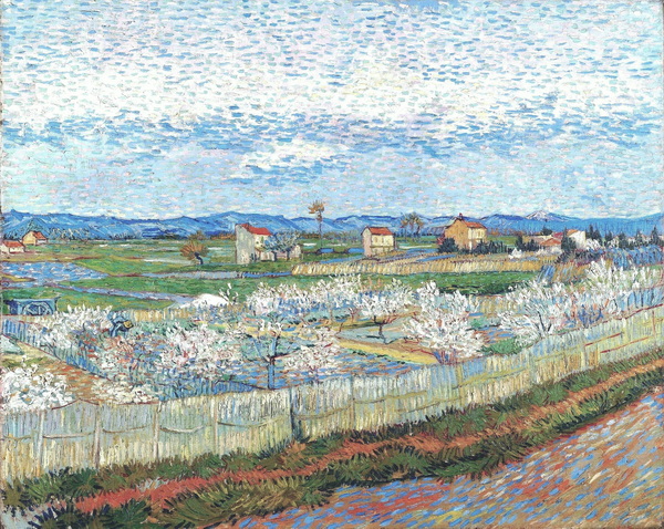 Peach Blossom in Le Trebon, 1889