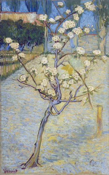 Pear Tree in Blossom, 1888