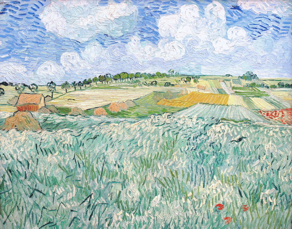 Plain near Auvers, 1890