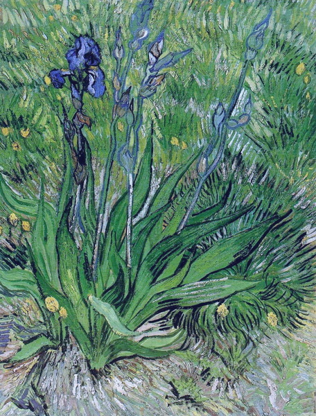 The Iris, 1889