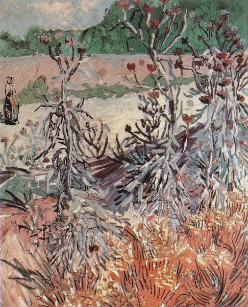 Thistles, 1888