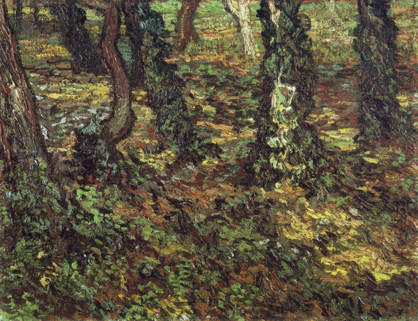 Tree Trunks with Ivy, 1889