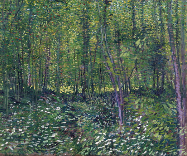 Trees and Undergrowth, 1887