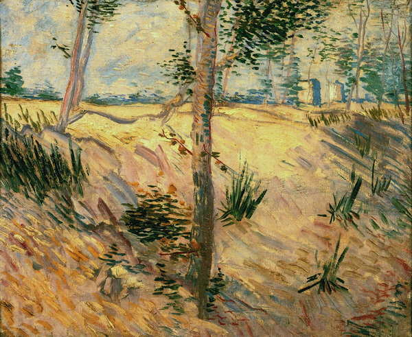 Trees in a Field on a Sunny Day, 1887