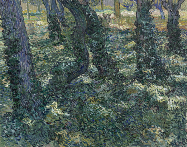 Undergrowth, 1889 (Van Gogh Museum version)