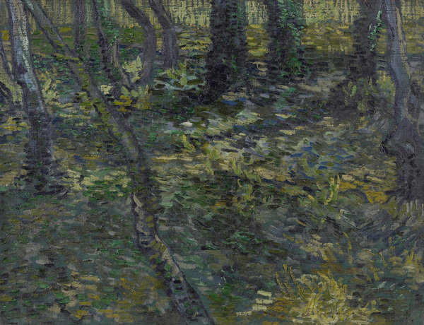 Undergrowth with Ivy, 1889