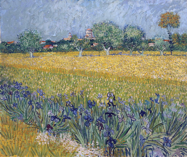 View of Arles with Irises, 1888