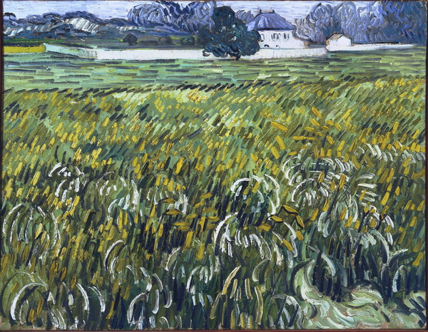 Wheat Field at Auvers with White House, 1890