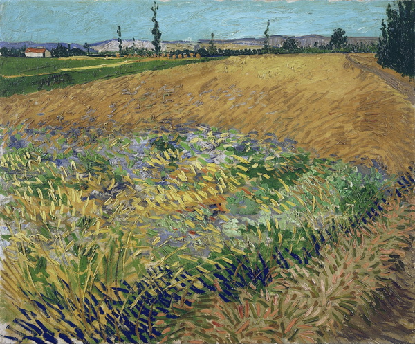 Wheat Field with the Alpilles Foothills in the Background, 1888