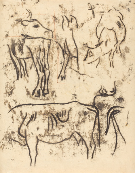 Animal Studies, 1901-02