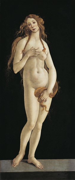 Botticelli Workshop. Venus (late 1480s) (158 x 68