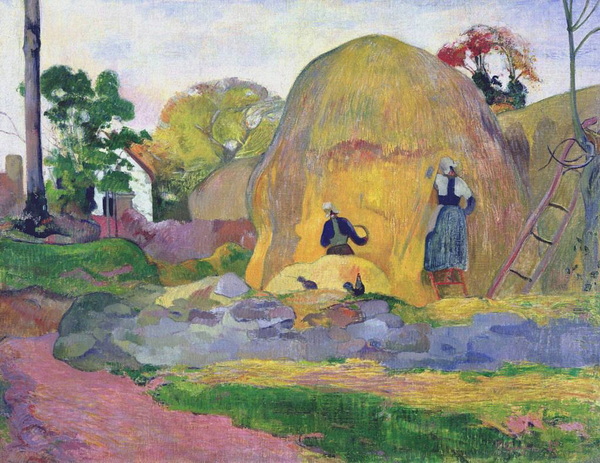 Golden Harvest, 1898