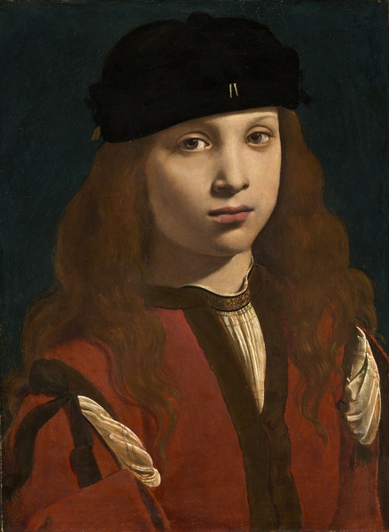 Portrait of a Young Man (1495-1498) (Washington, National Gallery)