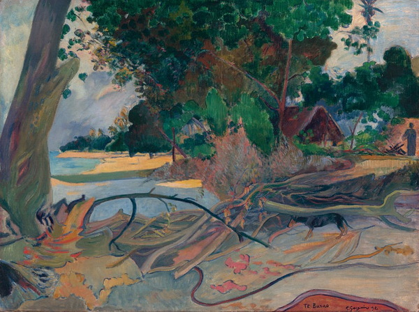 The Hibiscus Tree (Te Burao), 1892