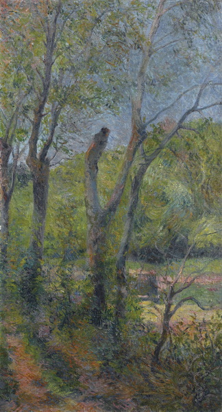 The Willows, 1885 d