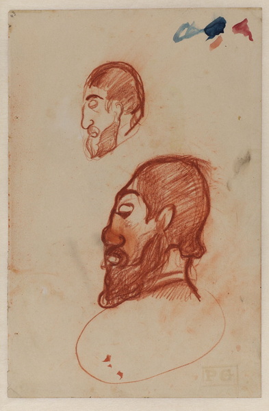 Two Studies of the Head of a Bearded Man (recto)